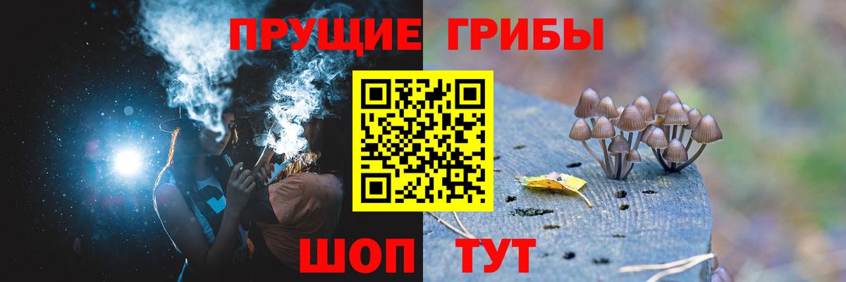 цена   Псилоцибиновые грибы мухоморы  Галлюциногенные грибы Magic Shrooms  Вход с VPN  Медногорск 